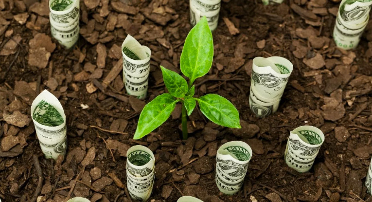 ESG, la importancia de realizar inversiones sostenibles y responsables