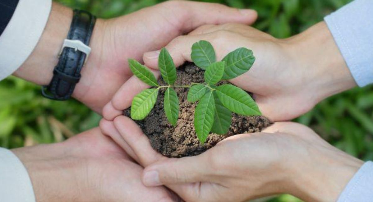 ¿Sabes cómo lograr una empresa más sostenible?